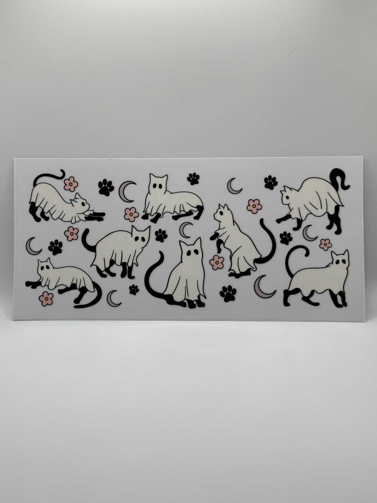 Ghost Cat 1